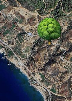 Uğrak Mah Aydap Mevki Satılık Full Deniz Manzaralı 8 Dönüm Tarla