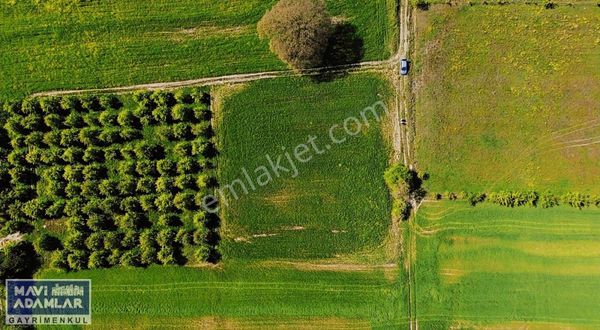 Kestel Gölcük'te 1 Donum Hobi Bahçesi