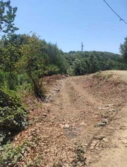 Uludağ Kirazlıda 678 M2 Satılık Arazi