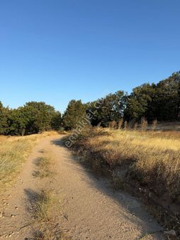 Resmi Kadastro Yoluna 146 Metre Cepheli 6.600 M2!!balıkesir Susurluk Yaylaçayır Köyünde Tarla