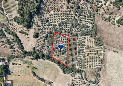 Kuşadası Kirazlıda Satılık 5.383 M2 Arsa