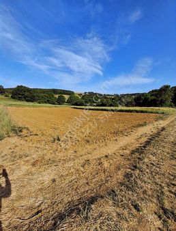 Kandıra Hıdırlar'da 1282 M2 Resmi Yollu Şekli Kare Tarla