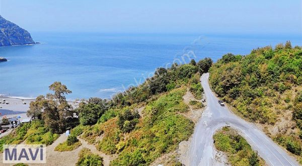 Remax Maviden Buruncuk Köyünde 12571 M² Konut İmarlı Arsalar