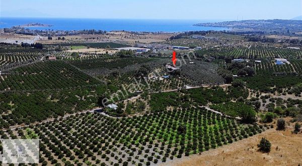 Kafa Dinlemelik Eşyalı Çiftik Evi