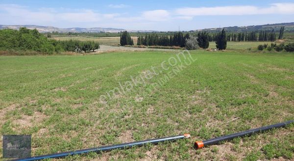 Lapseki Umurbey De Satılık Tarla