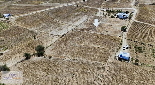 Mecidiye'de Köy'e Yakın Konumda 2.220 M2 Tarla