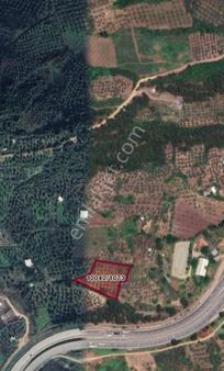 Dialog Skala Osmangazi Dürdane Köyünde Satılık Tarla