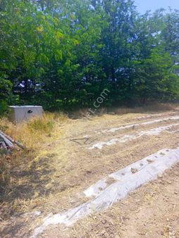 Ereğli Otogar Karşısı Satılık 7478 M2 Bahçe