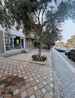 Kestel Çarşamba Caddesinde 20 M2 Kiralık Dükkan