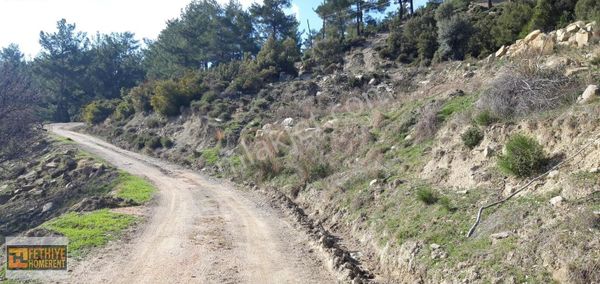 Seydikemer Orta Bayır'da Satılık 1400 M2 Tarla