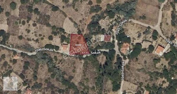 Emmilerde Satılık Bağ Bu Fiyata Başka Yok !!!