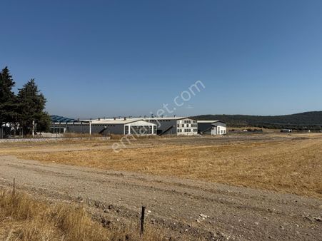 Foça Ilıpınar'da Yatırım-kullanım Amaçlı Tarla