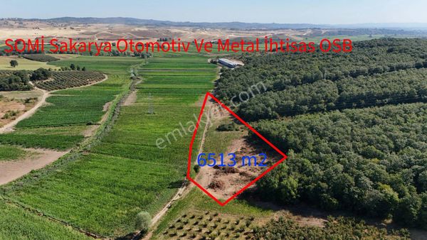 Remax Mavi'den Ferizli Karadikende Satılık Tarla