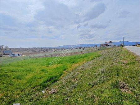 Banaz Bağkonakta 2098 M² Müstakil Tapulu Tarla | Ana Yola Cephe,