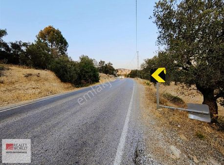 Rw Nefes'ten İmara 300 Metre Tarla Vasfında Zeytinlik