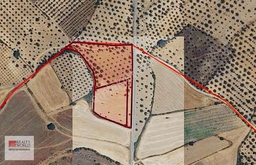 Rw Nefes'ten Burhaniye Şahinler Asfalt Yola Cepheli Zeytinlik