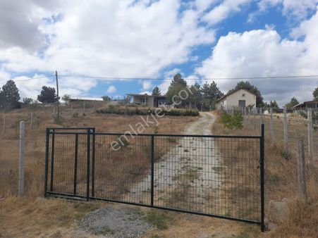 Bozüyük Saraycık Köyü Hobi Bahçesi