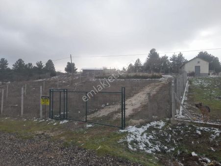 Saraycık Köyü Hobi Bahçesi