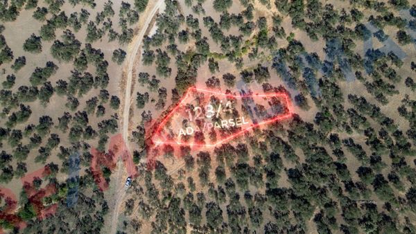 Havran Fora Zeytin Fabrikası Yanı Satılık Zeytinlik