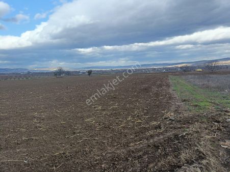 E&f Gayrimenkul'den Deydinler Mahallesinde Yatırımlık Tarla