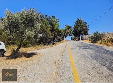 Muğla Milas Kısırlar Köyünde 6.184 M² Yatırımlık Tarla