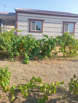 Ayan Gayrimenkul Ve Danışmanlık Tan Satılık Bahce Ve Ev Çilçapur