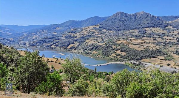 Cb Park Ömer Ocak'dan Asarda Göl Manzaralı Tarla