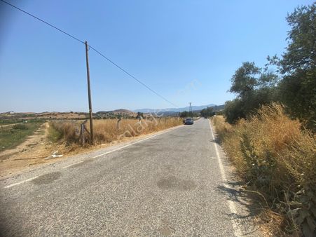 Akar Emlaktan Satılık Kupon Tarla