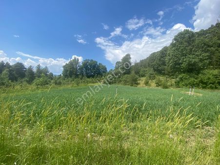 Acıpayam Çiftlikte Yolu Suyu Olan Harika Konumda Yatırımlıktarla