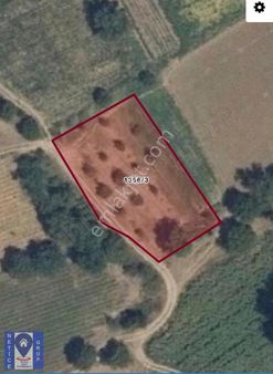 Yenişehir Köprühisar Köyünde Satılık Ceviz Tarlası