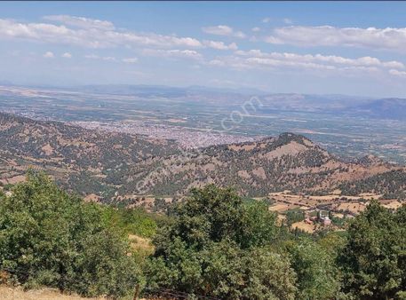 Çelikli Mahallesi'nde Satılık Ceviz Tarlasi