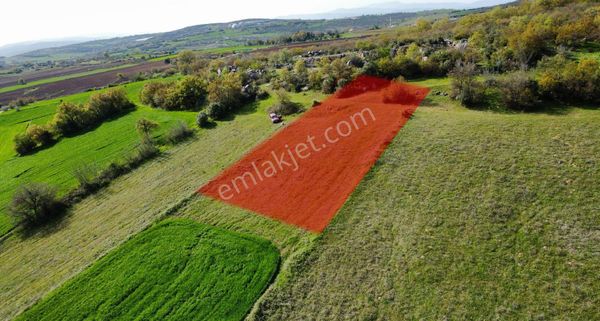 Bursa İnegöl Yeniyörük Köyünde Satılık 985 M2 Hobi Bahçesi