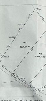 İzmir Kemalpaşa Armutluda Satılık Zeytinlik