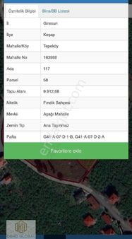 Obhd Global Gayrimenkul'den Keşap Tepeköy'de Yatırımlık Arsa