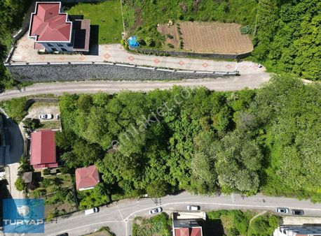 Ordu Güzelyalıda Deniz Manzaralı Müstakil Tapulu Satılık Arsa