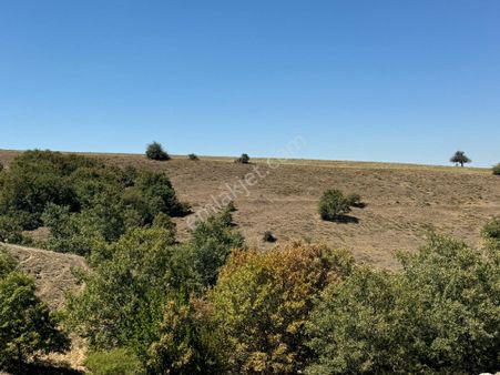 Sulukarağaç Mahallesi’nde 6.600 M² Satılık Tarla