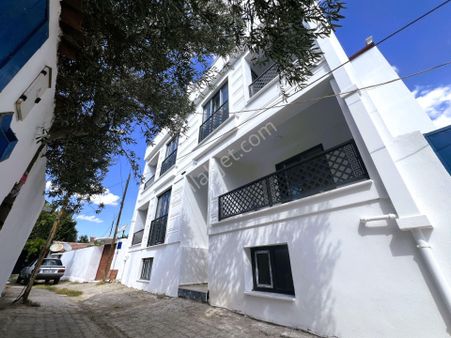 ▀▀jet'ten Zeytinli'de Müstakil Tadında Doğayla İç İçe 2+1 Daire