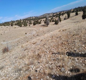 Köy Merkezine Çok Yakın, Resmi Kadastral Yolu Var, Etrafı Orman