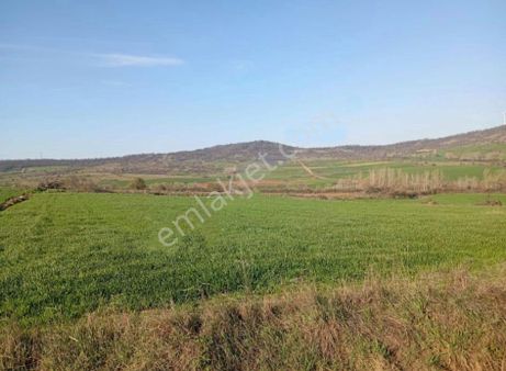 Edirne Lalapaşa Çallıdere Köyüne 250 Metre Mesafe Satılık Tarla