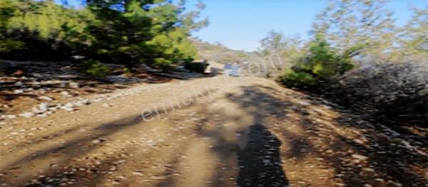 Silifke Nuru Mahallesinin Ve Çevresinin En Ucuz Tarlası