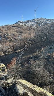 Köy Merkezine Ve Kızılırmağa Yakın En Ucuz Muhteşem Kaçmaz Arazi