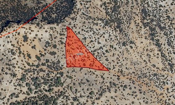 Kürkçü Mahallesinde Çevresindeki Tarlalardan Çok Daha Ucuz