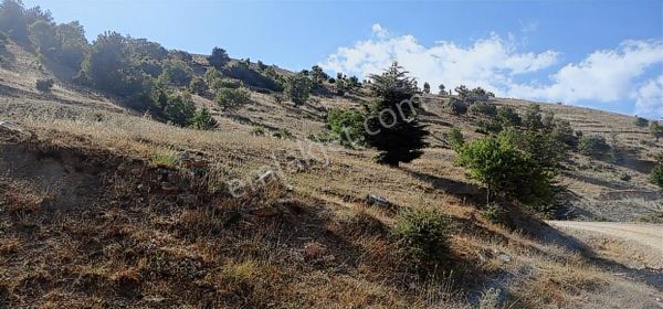 Onikişubatın En Fırsat Yeri,hem Yola, Köye Yakın Ve Eğimi Az