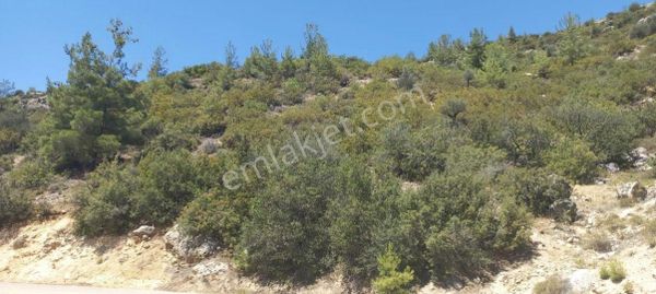 Silifkenin Köy Yerleşik Alanı İçinde Kalan En Ucuz Arazi