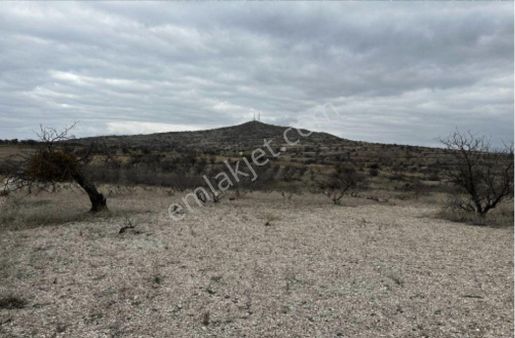 Resmi Yolu Var, Ev Yapılabilir, Benzerlerinden Çok Daha Ucuz