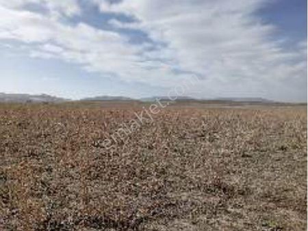 Kadastral, Resmi Yolu Açılmış Kullanılıyor, Ulaşımı Kolay Fırsat