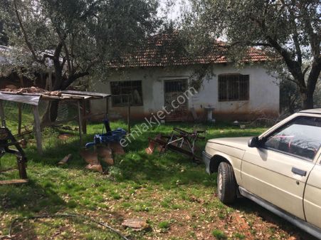 Satılık Köy Evi Salihli Yağmurlar Mah.