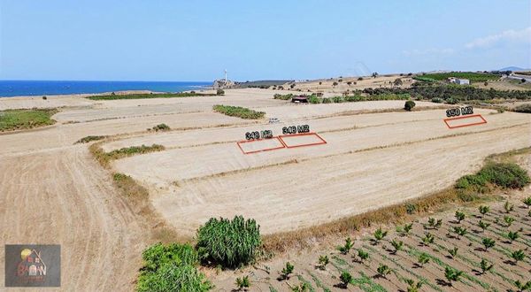 Lapseki Çardak Zincirbozanda 350 M2 Arsa Uygun Fiyat 3 Adet