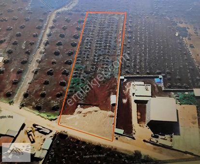 Ayyıldız Emlaktan 5.109 M2 Asvalt Yol Üzeri Sontajlı