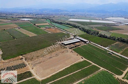 Salihli Merkez Dibi 2 Adet Çiftlik Arsası 3.238+3.268 M2